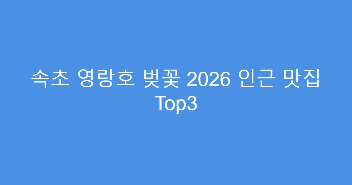 속초 영랑호 벚꽃 2026 인근 맛집 Top3