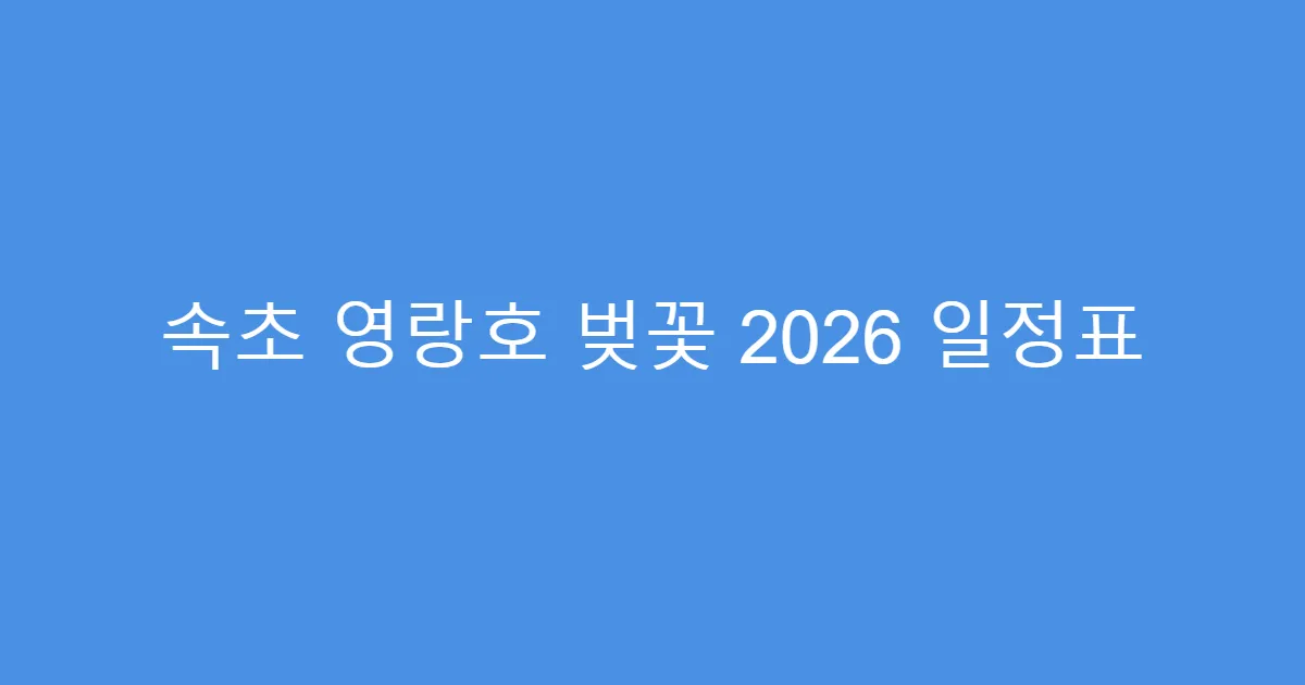 속초 영랑호 벚꽃 2026 일정표