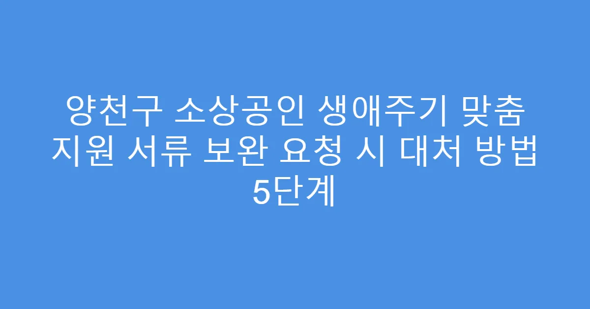 양천구 소상공인 생애주기 맞춤 지원 서류 보완 요청 시 대처 방법 5단계