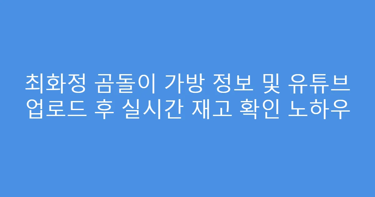 최화정 곰돌이 가방 정보 및 유튜브 업로드 후 실시간 재고 확인 노하우