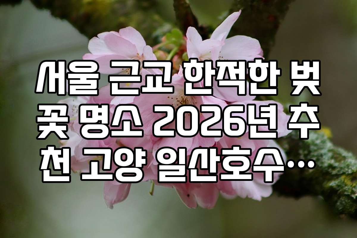 서울 근교 한적한 벚꽃 명소 2026년 추천 고양 일산호수공원 뒷길