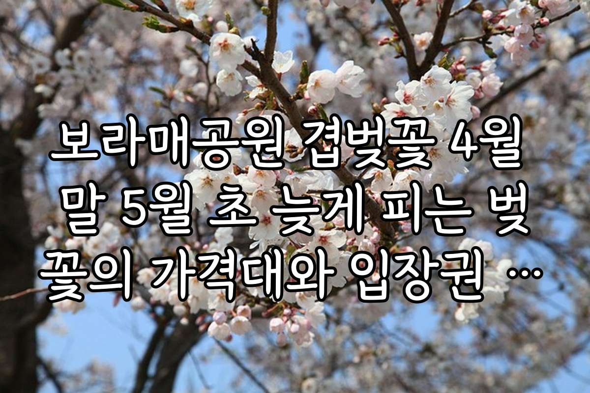 보라매공원 겹벚꽃 4월 말 5월 초 늦게 피는 벚꽃의 가격대와 입장권 할인 정보 2026년 최신 업데이트