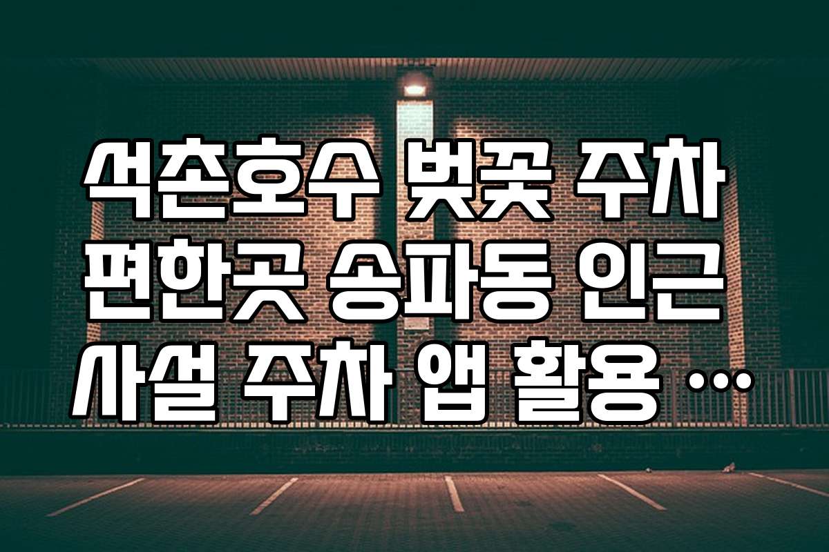 석촌호수 벚꽃 주차 편한곳 송파동 인근 사설 주차 앱 활용 가이드