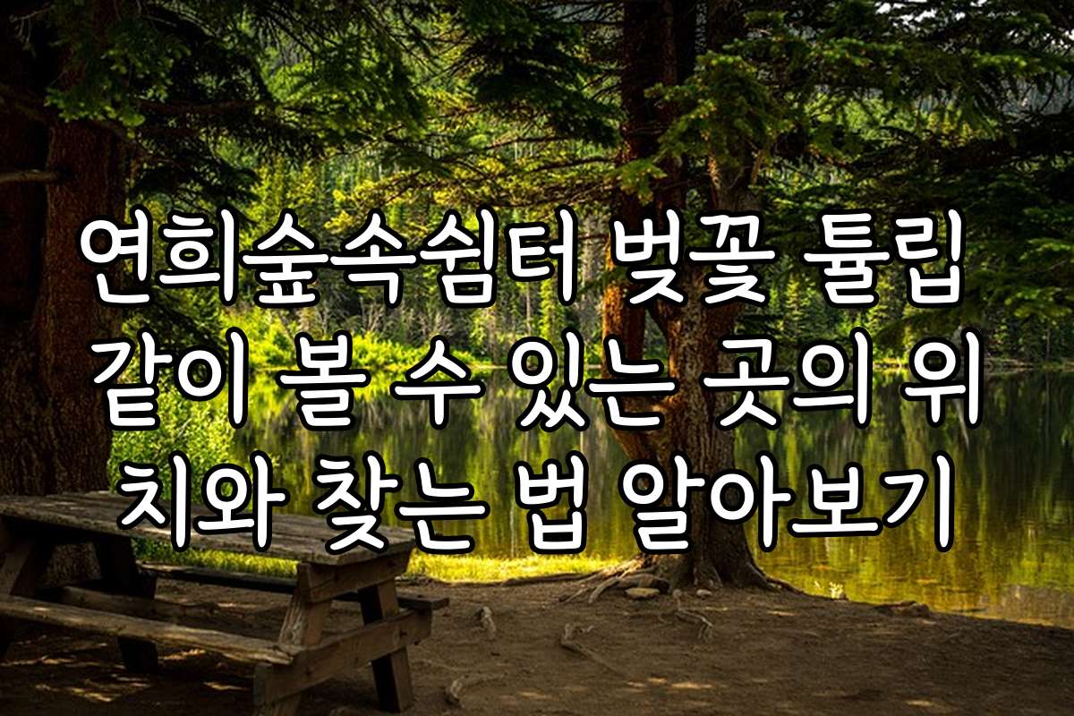 연희숲속쉼터 벚꽃 튤립 같이 볼 수 있는 곳의 위치와 찾는 법 알아보기