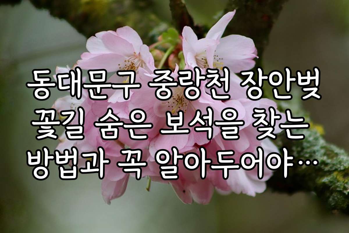 동대문구 중랑천 장안벚꽃길 숨은 보석을 찾는 방법과 꼭 알아두어야 할 팁