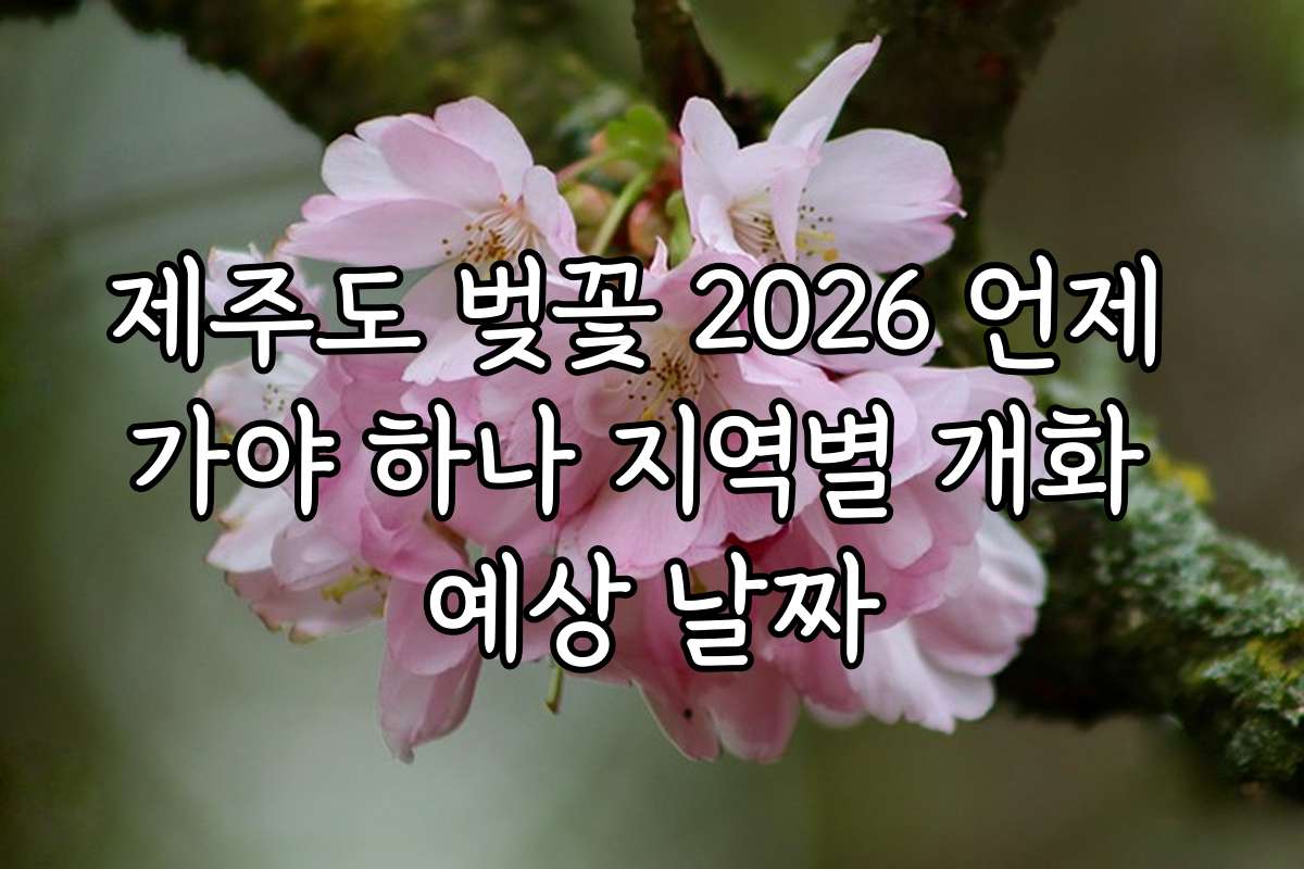 제주도 벚꽃 2026 언제 가야 하나 지역별 개화 예상 날짜