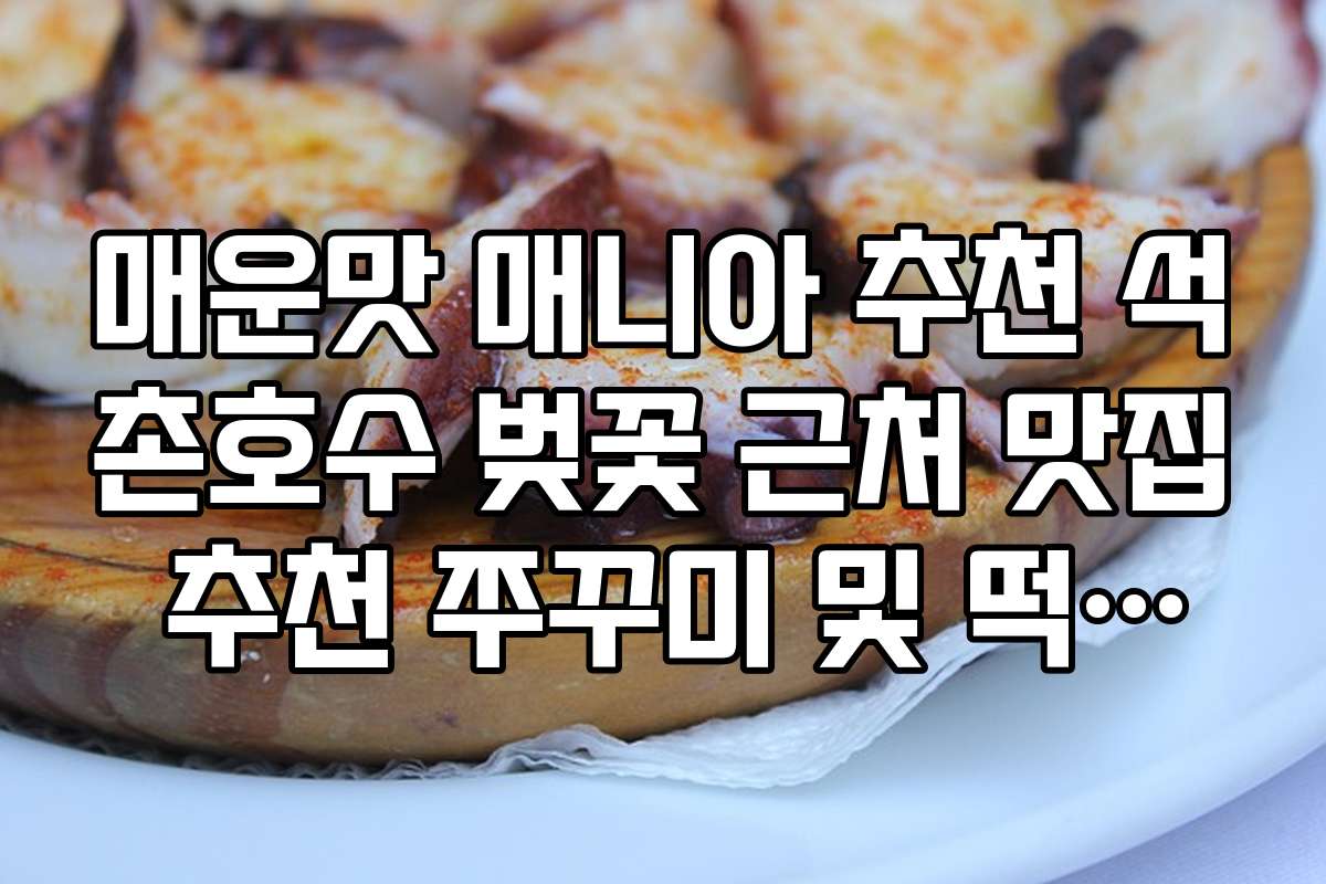 매운맛 매니아 추천 석촌호수 벚꽃 근처 맛집 추천 쭈꾸미 및 떡볶이