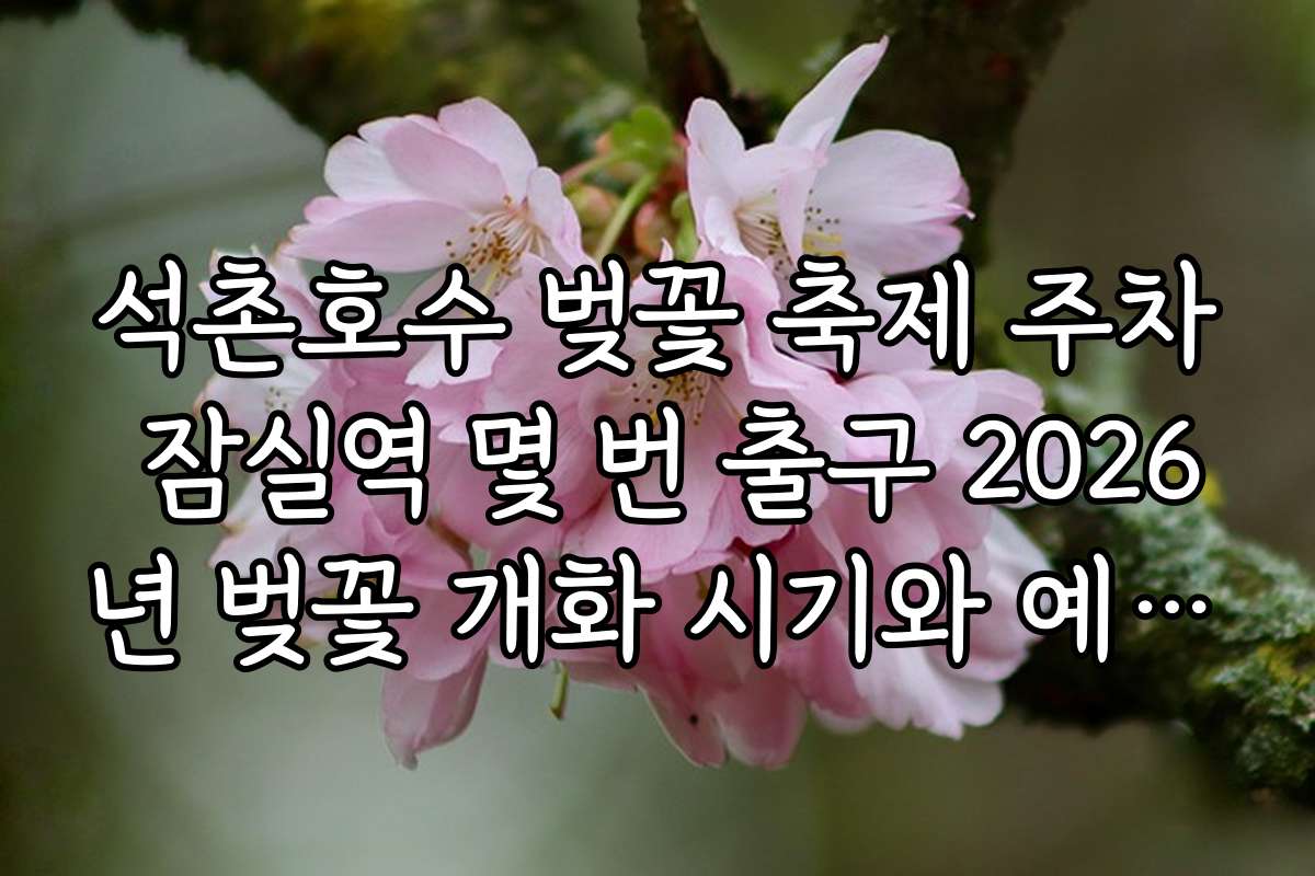 석촌호수 벚꽃 축제 주차 잠실역 몇 번 출구 2026년 벚꽃 개화 시기와 예상 일정