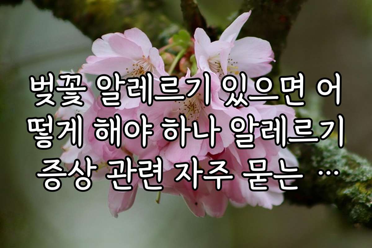 벚꽃 알레르기 있으면 어떻게 해야 하나 알레르기 증상 관련 자주 묻는 질문과 답변