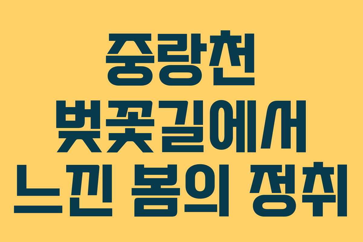 중랑천 벚꽃길에서 느낀 봄의 정취