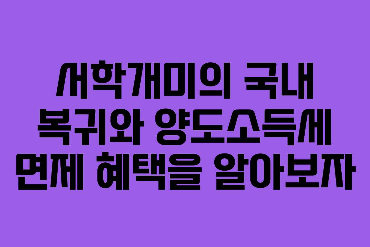 서학개미의 국내 복귀와 양도소득세 면제 혜택을 알아보자