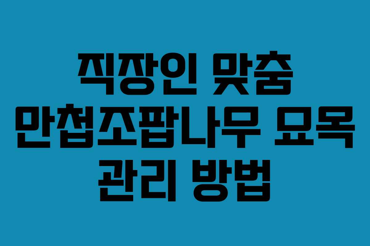 직장인 맞춤 만첩조팝나무 묘목 관리 방법