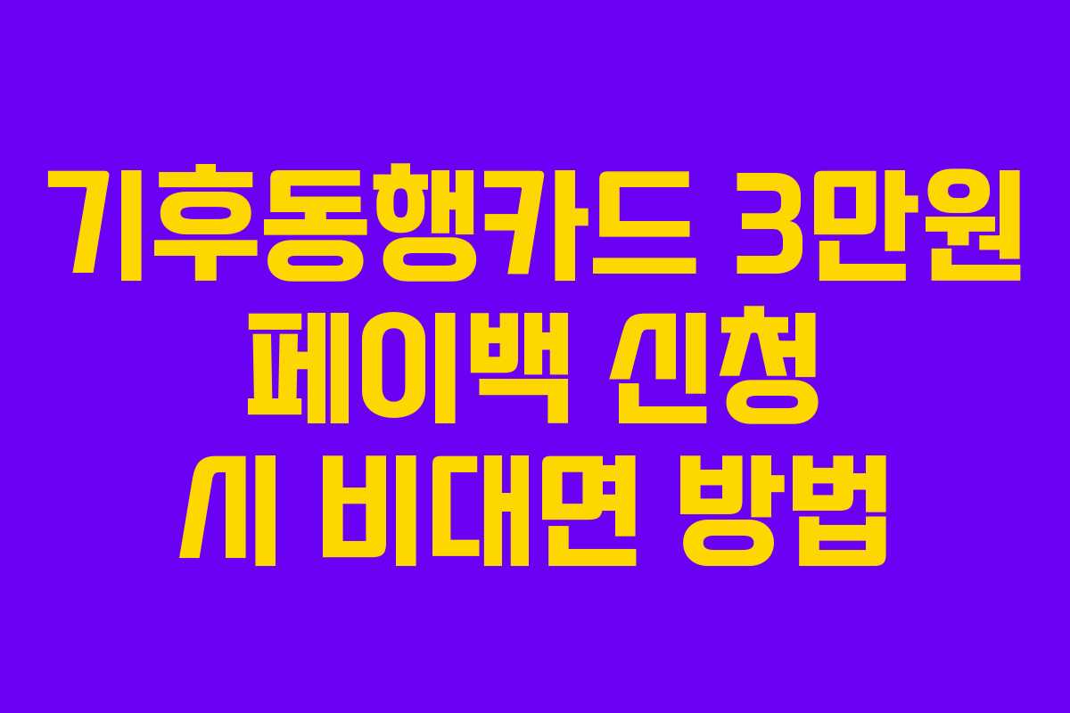 기후동행카드 3만원 페이백 신청 시 비대면 방법