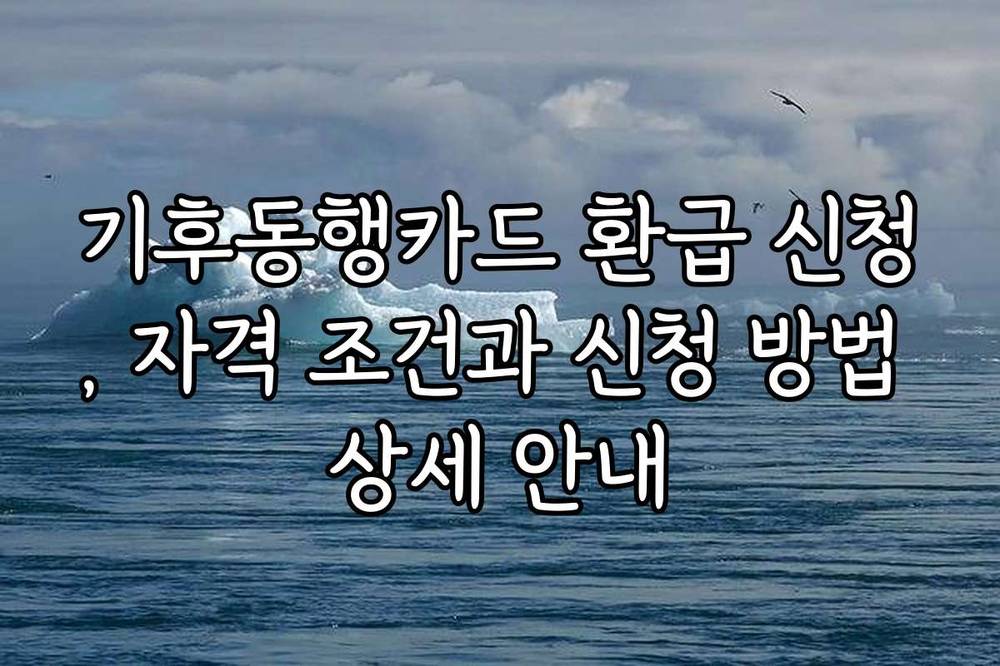 기후동행카드 환급 신청, 자격 조건과 신청 방법 상세 안내