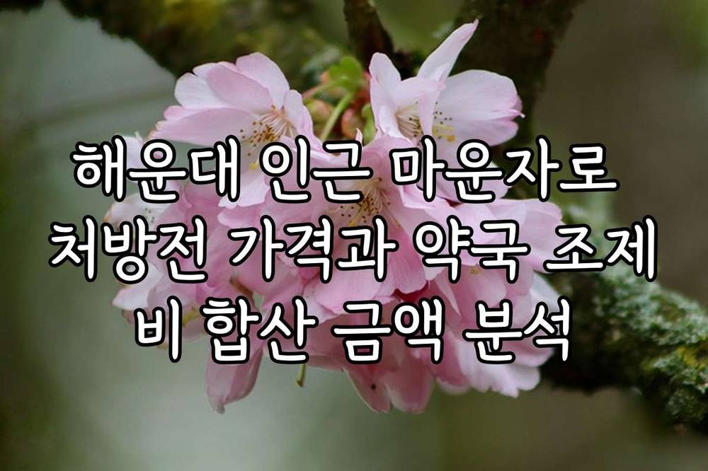 해운대 인근 마운자로 처방전 가격과 약국 조제비 합산 금액 분석