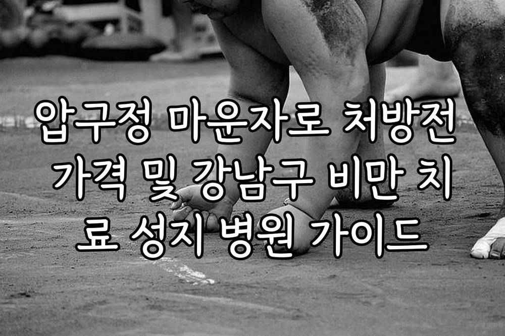 압구정 마운자로 처방전 가격 및 강남구 비만 치료 성지 병원 가이드