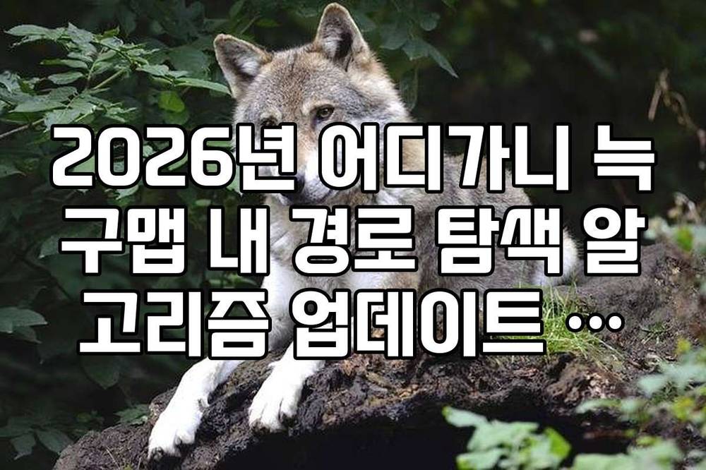 2026년 어디가니 늑구맵 내 경로 탐색 알고리즘 업데이트 내역 확인