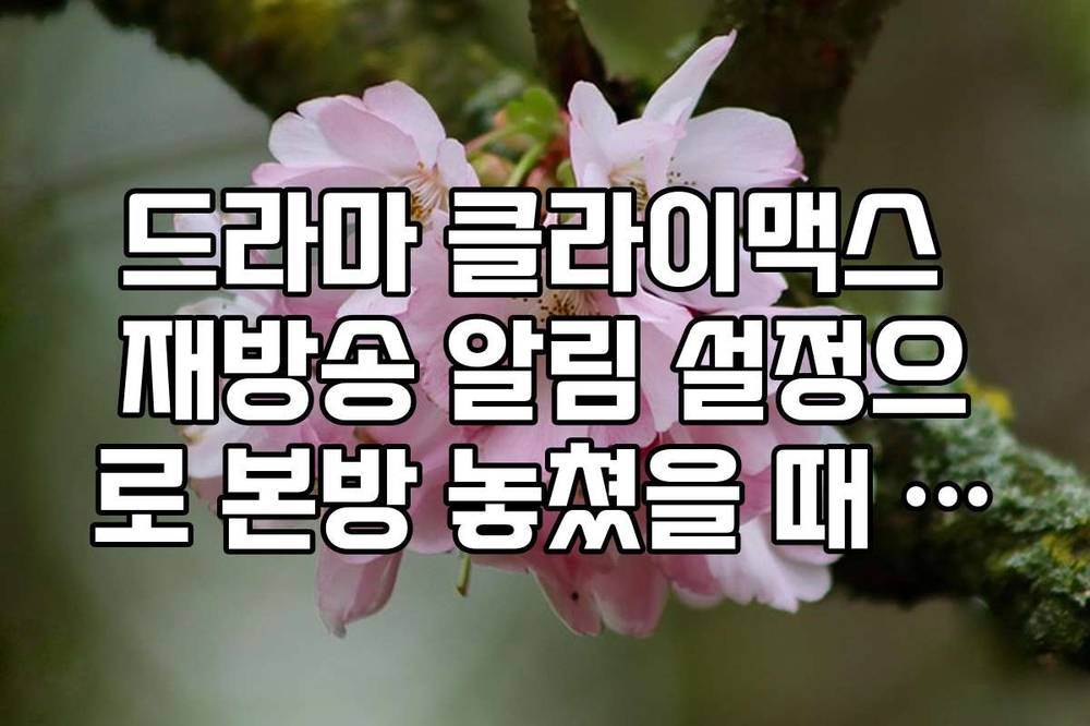 드라마 클라이맥스 재방송 알림 설정으로 본방 놓쳤을 때 대처법