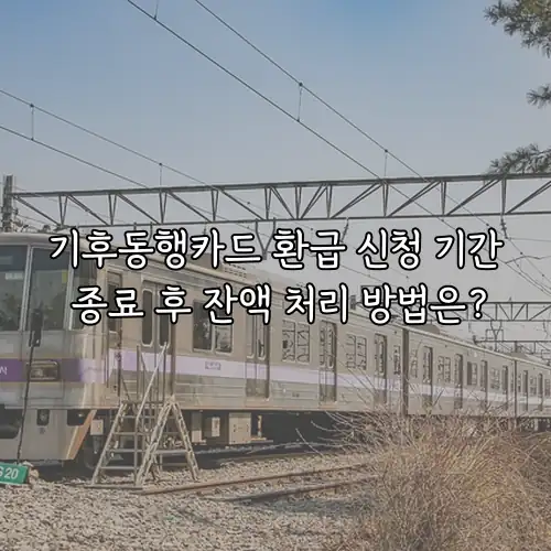 기후동행카드 환급 신청 기간 종료 후 잔액 처리 방법은?