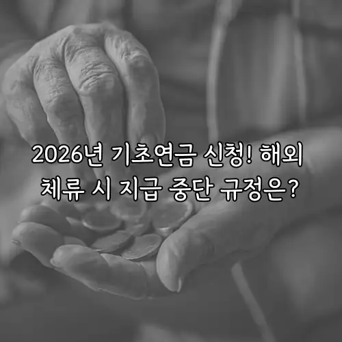 2026년 기초연금 신청! 해외 체류 시 지급 중단 규정은?