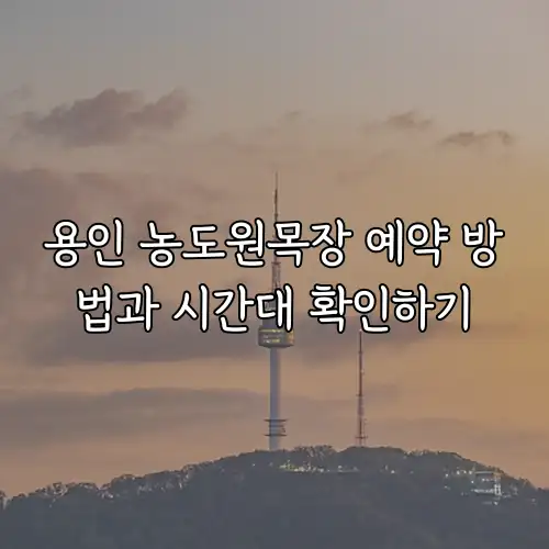 용인 농도원목장 예약 방법과 시간대 확인하기