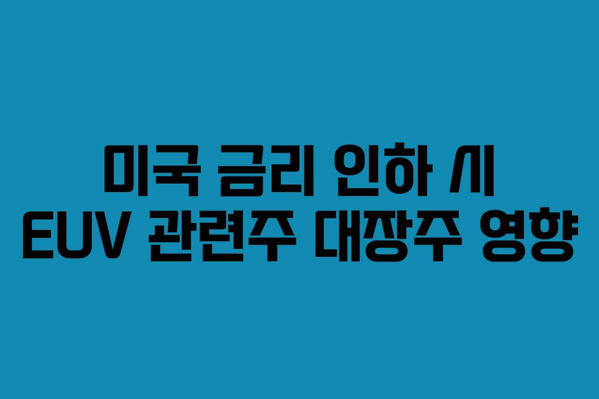 미국 금리 인하 시 EUV 관련주 대장주 영향