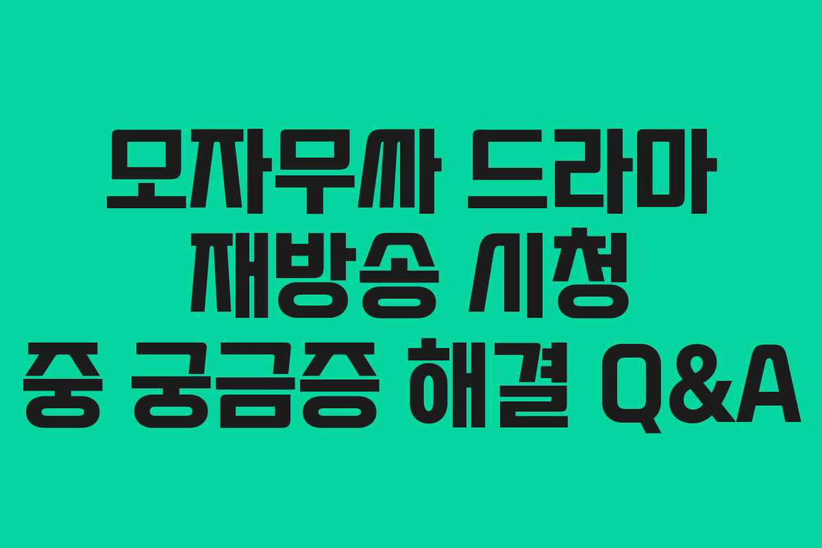 모자무싸 드라마 재방송 시청 중 궁금증 해결 Q&A