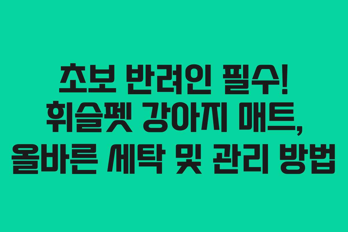 초보 반려인 필수! 휘슬펫 강아지 매트, 올바른 세탁 및 관리 방법